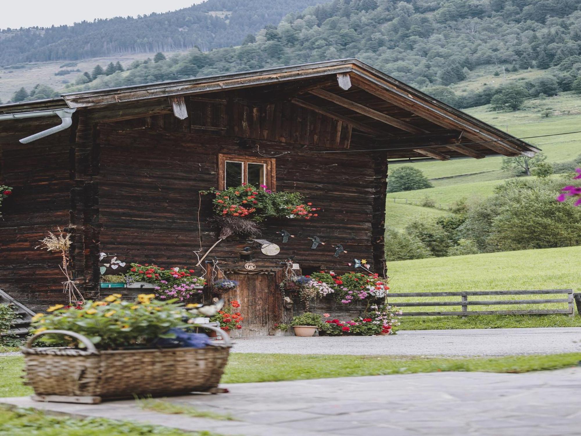 Holiday Home Fusch An Der Glocknerstra E Fusch an der Grossglocknerstrasse Экстерьер фото